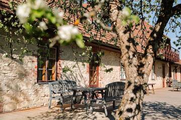 Фото номера Апартаменты Angela Отель Karlamuiza Country Hotel г. Карли 6