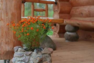 Фото номера Дом с 3 спальнями Дома для отпуска Guest House Kalniņi г. Карли 75