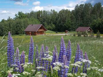 Фотографии Дома для отпуска Guest House Kalniņi г. Карли (Латвия) №2 Фото Дома для отпуска Guest House Kalniņi г. Карли 2